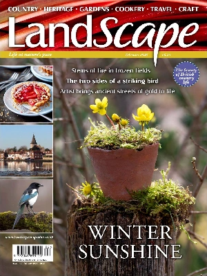 Landscape UK – 02.2026