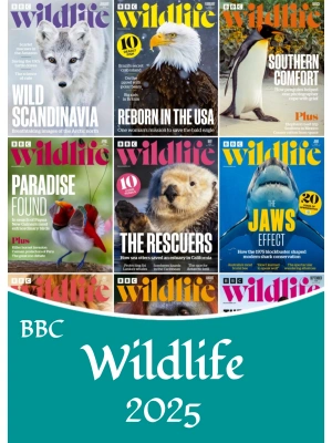 BBC Wildlife – 2025 Full Year
