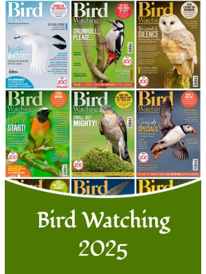Bird Watching UK – 2025 Full Year