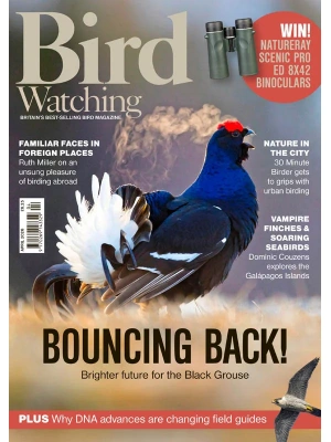 Bird Watching UK – 04.2026