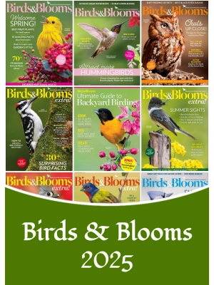 Birds & Blooms – 2025 Full Year