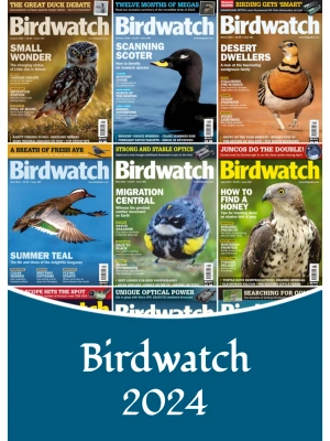Birdwatch UK – 2024 Full Year