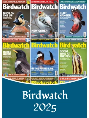 Birdwatch UK – 2025 Full Year