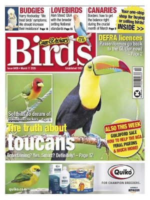 Cage & Aviary Birds – 03.11.2026