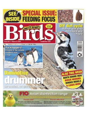 Cage & Aviary Birds – 03.25.2026