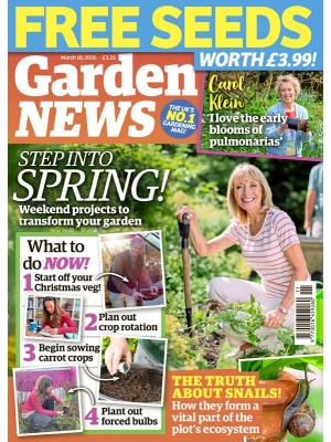 Garden News – 03.10.2026