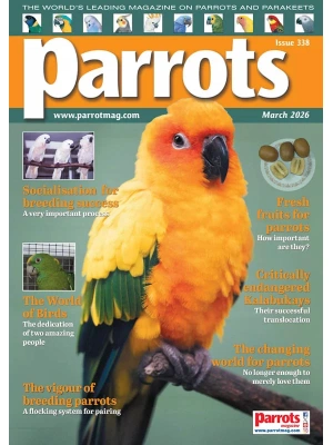 Parrots – 03.2026