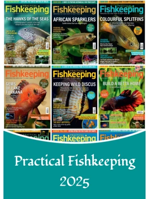 Practical Fishkeeping – 2025 Full Year