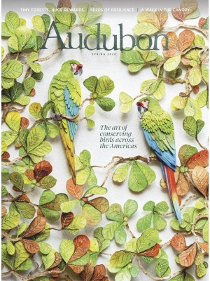 Audubon – Spring 2026