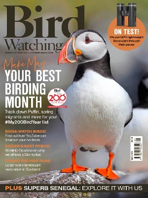 Bird Watching UK – 05.2026