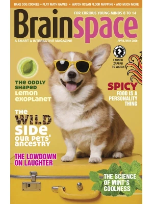 Brainspace – 04.05 2026