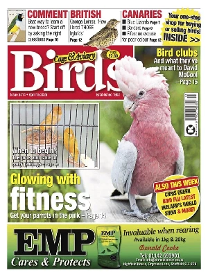 Cage & Aviary Birds – 04.15.2026