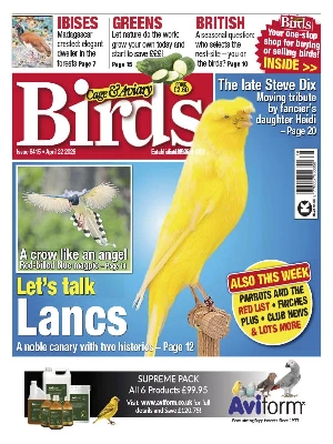 Cage & Aviary Birds – 04.22.2026