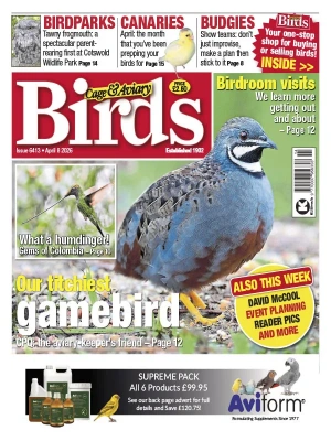 Cage & Aviary Birds – 04.8.2026