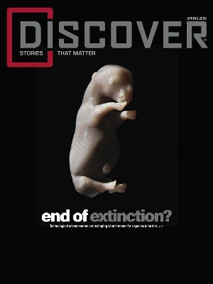 Discover – Spring 2026