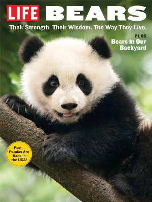 LIFE – Bears