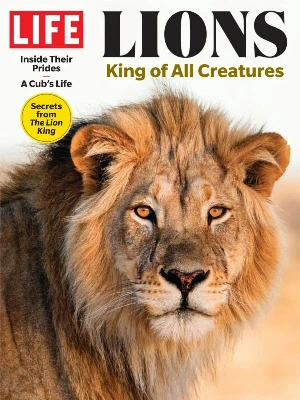 LIFE – Lions King Of All Creatures