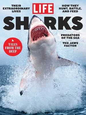 LIFE – Sharks
