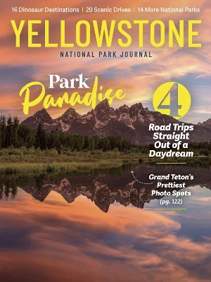 National Park Journal – Yellowstone 2026