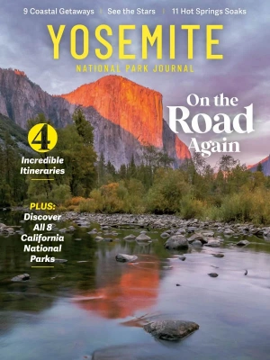 National Park Journal – Yosemite 2025