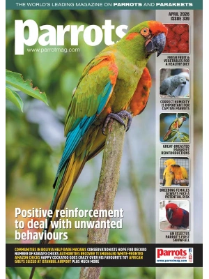 Parrots – 04.2026