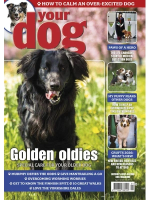 Your Dog – 04.2026