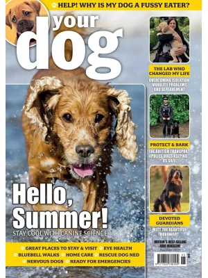 Your Dog – 05.2026