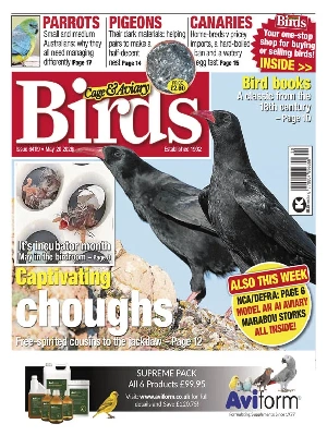 Cage & Aviary Birds – 05.20.2026
