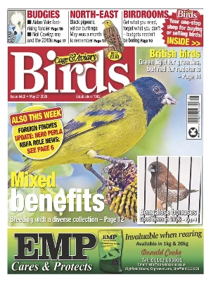 Cage & Aviary Birds – 05.27.2026