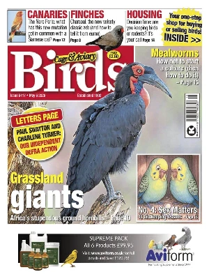 Cage & Aviary Birds – 05.6.2026