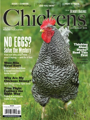 Chickens – 07-08 2026