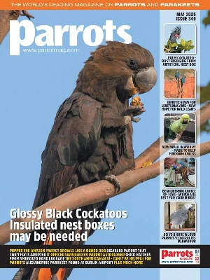 Parrots – 05.2026