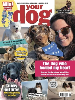 Your Dog – 06.2026