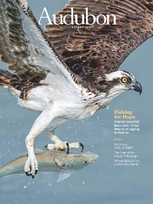 Audubon – Summer 2026