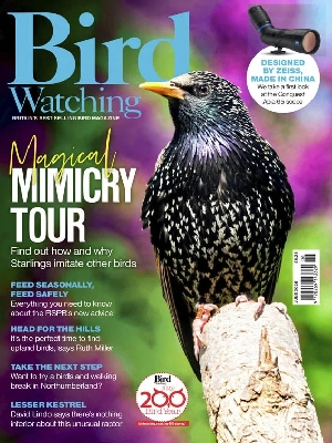 Bird Watching UK – 06.2026