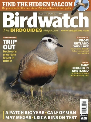 Birdwatch UK – 07.2026