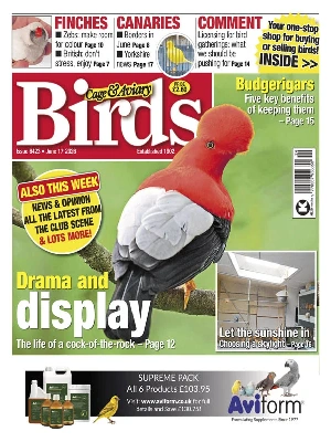 Cage & Aviary Birds – 06.17.2026
