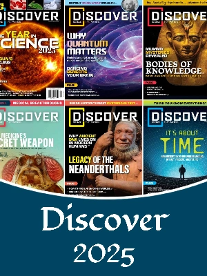 Discover – 2025 Full Year