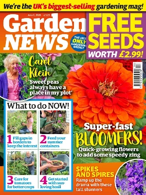 Garden News – 06.2.2026