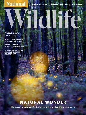 National Wildlife – Summer 2026