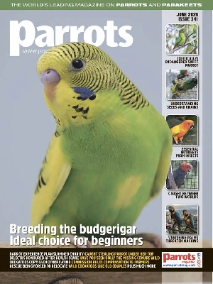 Parrots – 06.2026
