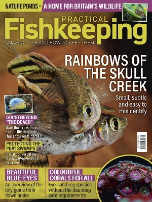 Practical Fishkeeping – 06.2026