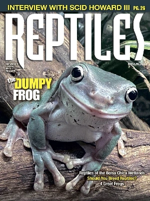 Reptiles – 05-06.2026