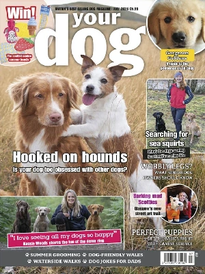 Your Dog – 07.2026