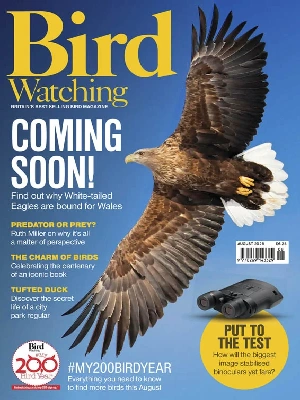 Bird Watching UK – 08.2026