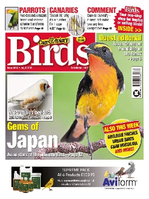 Cage & Aviary Birds – 07.8.2026