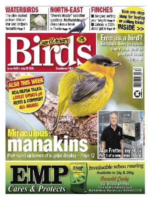 Cage & Aviary Birds – 07.29.2026