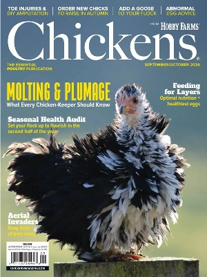 Chickens – 09-10 2026