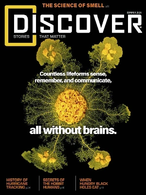 Discover – Summer 2026