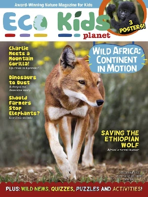 Eco Kids Planet – 07.08 2026